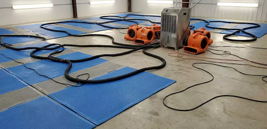 Large-Scale Water Cleanup in Mount Berry