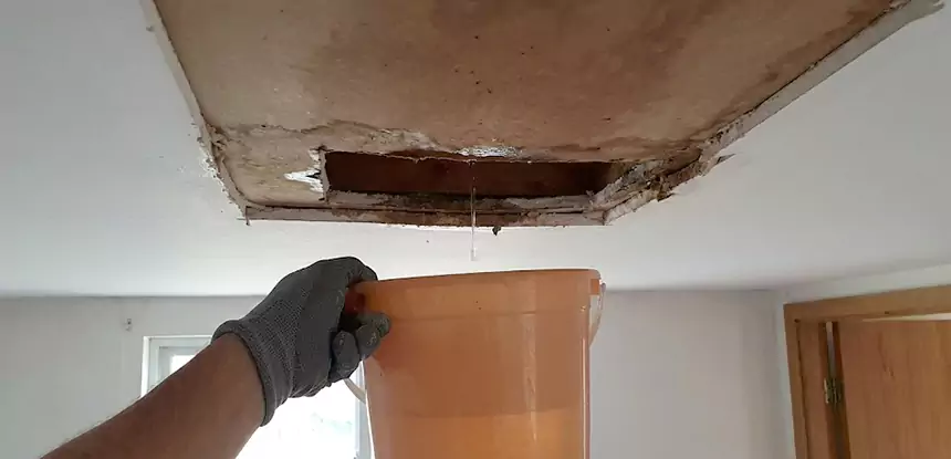 Ceiling Mold Repair Mount Berry
